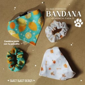 Bandanas y Scrunchi